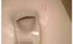 Lipstick stain, toilet bowl, twitter