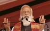 International Tiger Day, India, tiger population, four years, schedule, Prime Minister Narendra Modi
