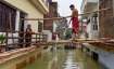 up bihar floods, ganga yamuna levels rise, monsoon 2021