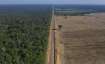 Brazil, Amazon deforestation, deforestation surges to worst, latest international news updates, braz
