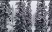 gulmarg, snowfall