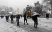 shimla tourism