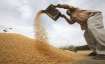 Last month, India announced 50,000 metric tonnes of wheat