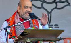 BJP President Amit Shah addresses a rally during a campaign