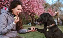 Covid-19 India Updates: Is animals to human transmission of coronavirus possible? PETA answers