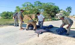 lakhimpur case arrest