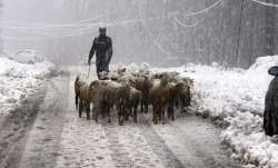 snowfall