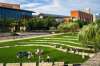 Spending 20 minutes a day in urban parks can boost