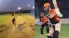 vvs laxman, vvs laxman srh, sunrisers hyderabad, ipl 2020, indian premier league 2020
