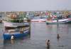 pakistan captures 38 indian fishermen near international
